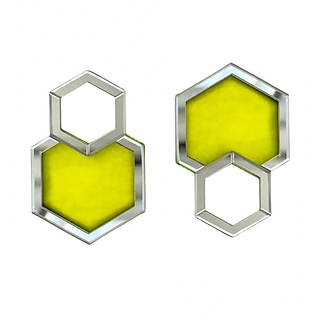 Hexa Earrings