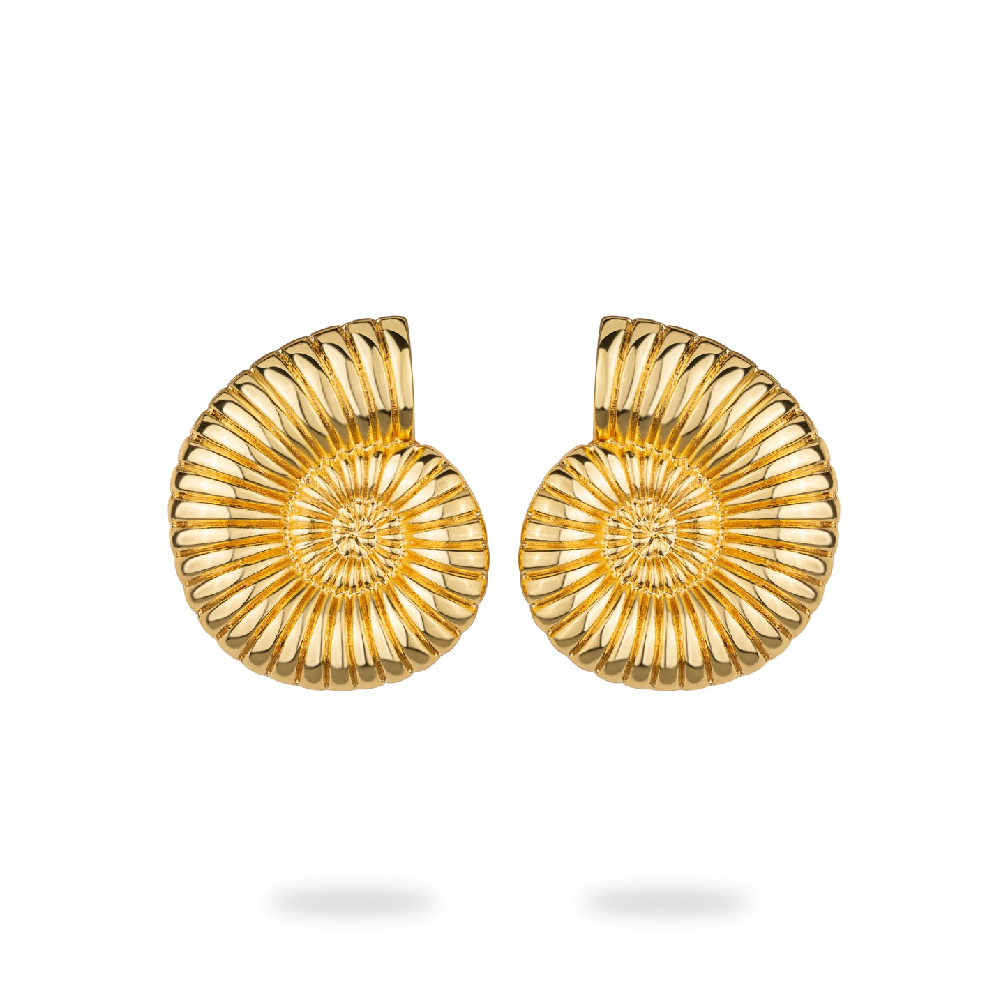 Seashell Earrings