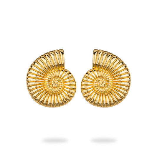 Seashell Earrings